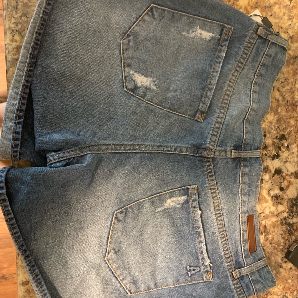 Articles of Society shorts